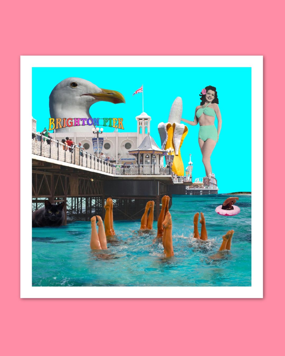 Welcome to Brighton