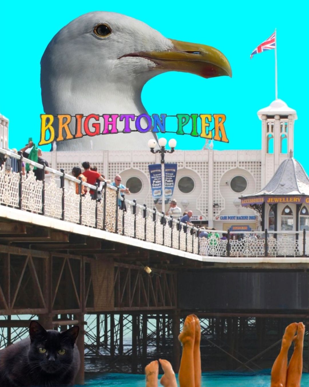 Welcome to Brighton